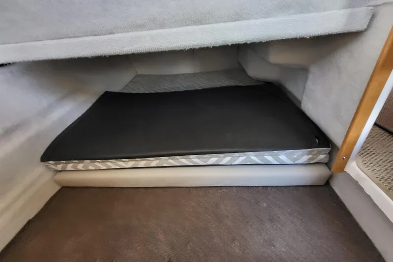 Tranquila Yacht Photos Pics 2023 Cutwater C-288 Coupe interior cabin with cushioned sleeping area.