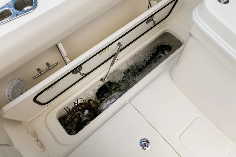  Yacht Photos Pics Manufacturer Provided Image: Boston Whaler 250 Outrage 2025 fish storage compartment with ice and catch.