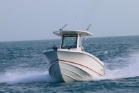 2023 Boston Whaler 250 Outrage