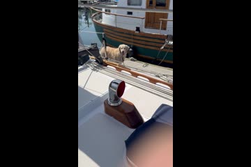 Video Placeholder