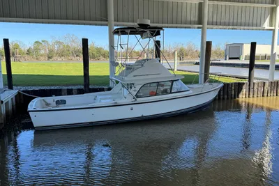 Bertram 31 Sportfisher Yanmars