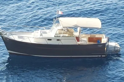 2006 Rhea 850