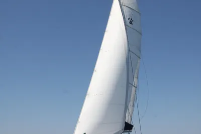 Leopard 40