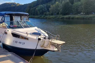 2010 Drago 710