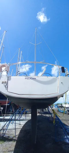 Pelican Yacht Photos Pics 