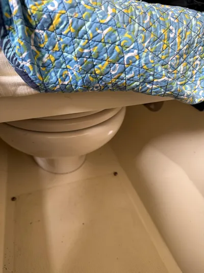  Yacht Photos Pics Boat interior with a quilted blue cover on a toilet, Chris-Craft Catalina 30, 2020 model.