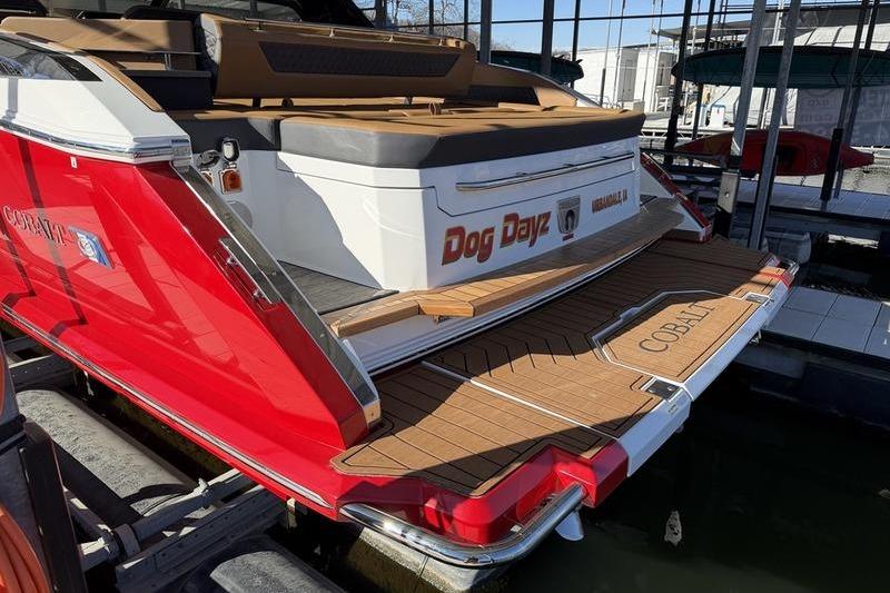 2025 Cobalt R35 boat with "Dog Dayz" branding, docked in a marina.
