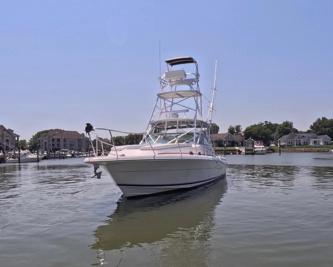  Yacht Photos Pics 2004 Stamas 370 Express boat on calm water near residential docks.