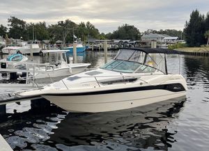 Chaparral Signature 270