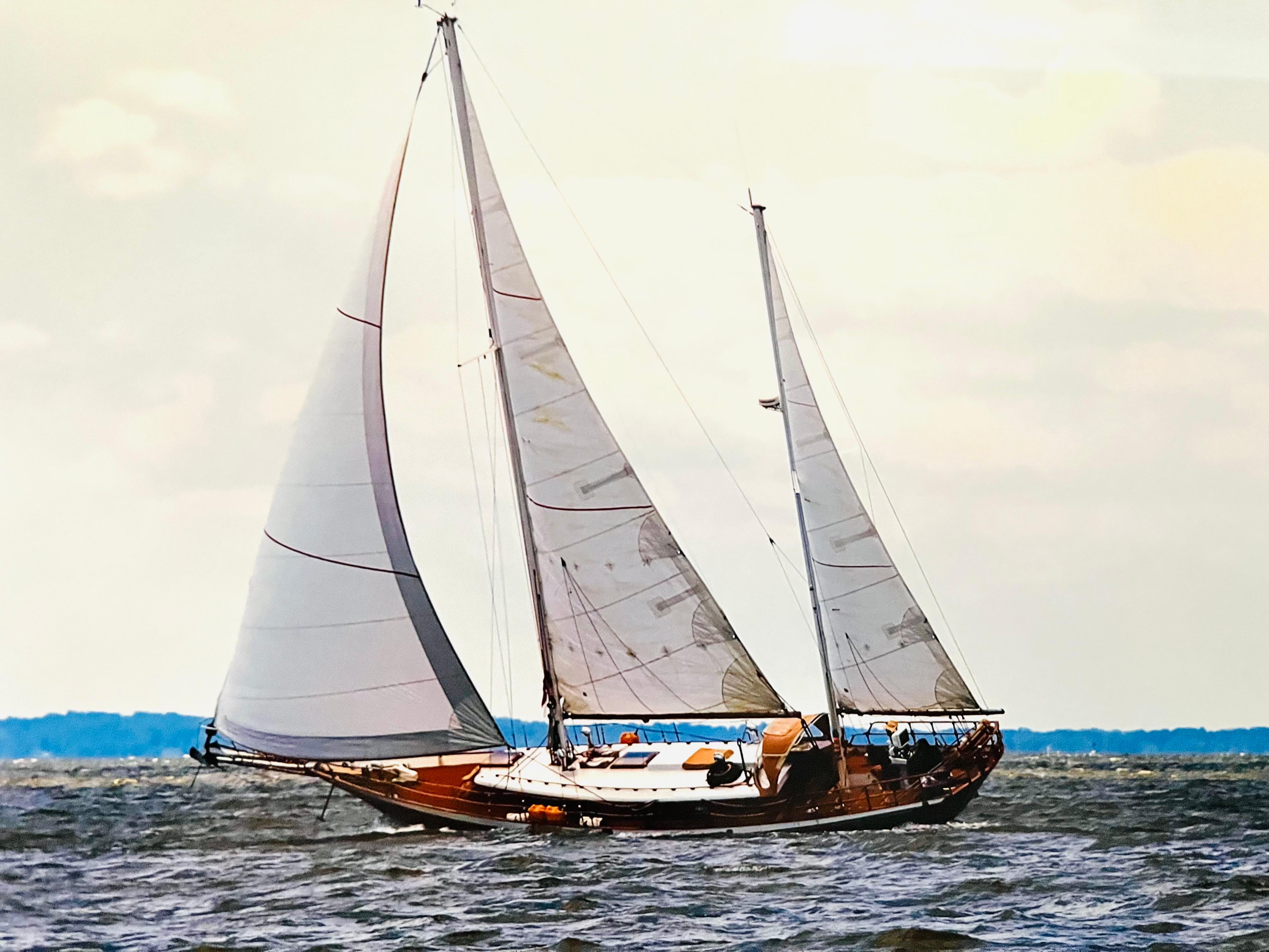 T-shirt Voilier Cheoy Lee - 100% Coton - Homme - Neuf Sans étiquettes