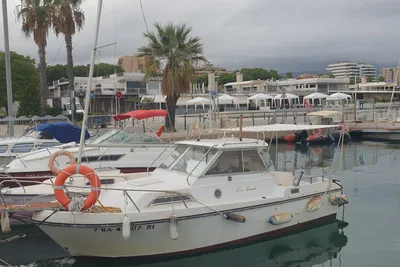 1991 Coach Pontoons Guy Coach 660