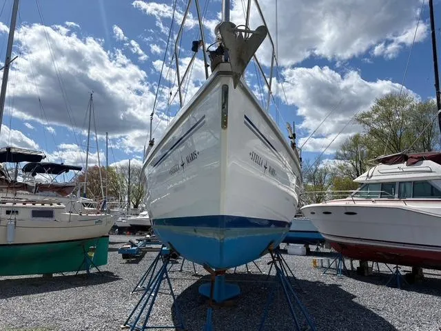 Stella Maris Yacht Photos Pics 