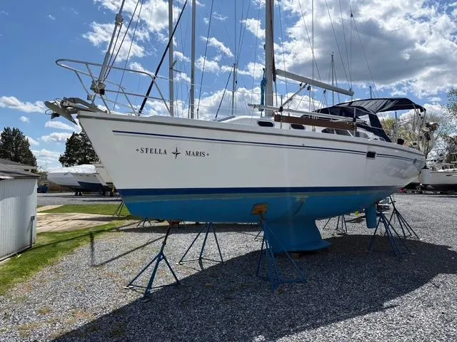 Stella Maris Yacht Photos Pics 