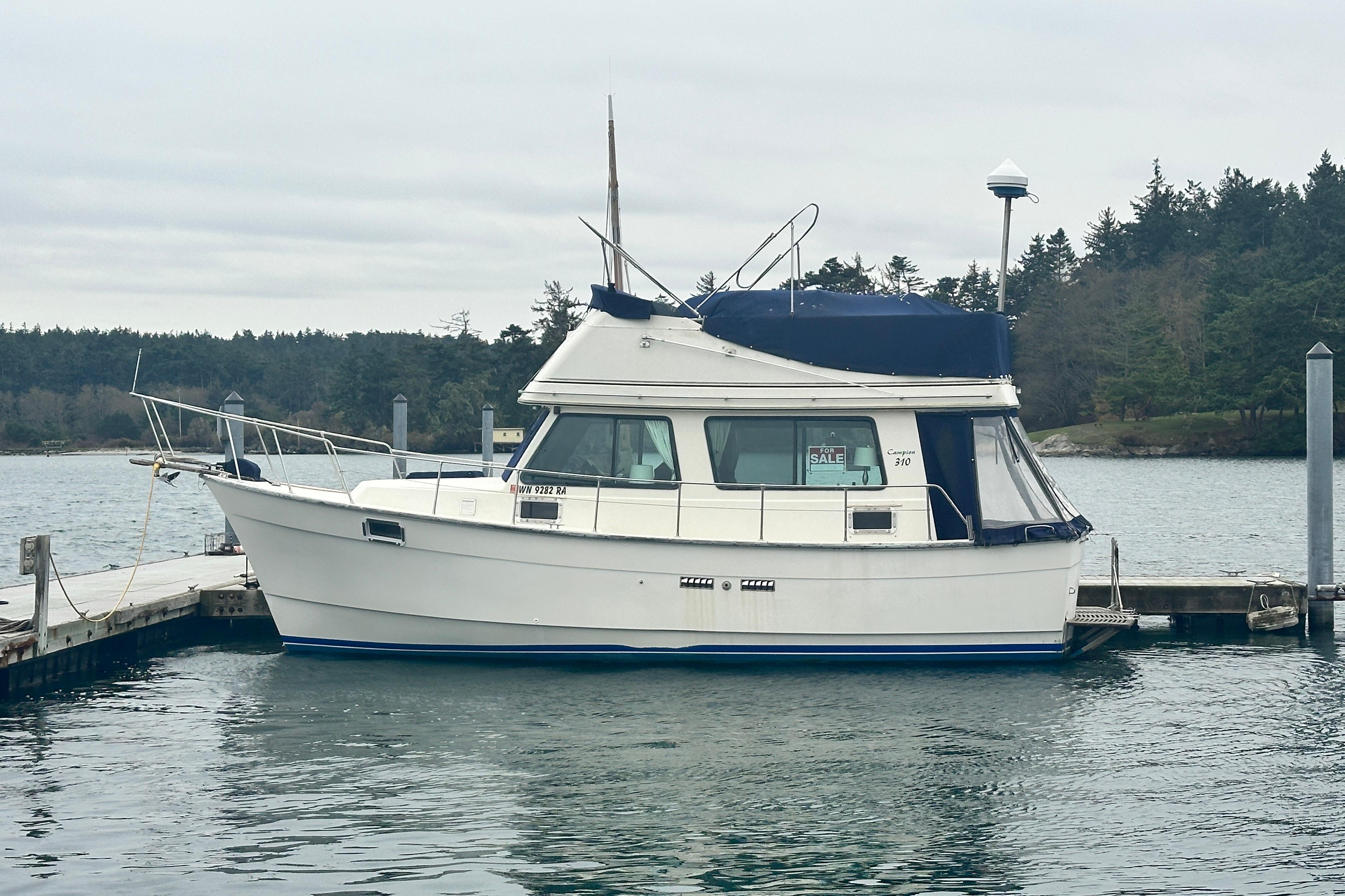 Campion 310
