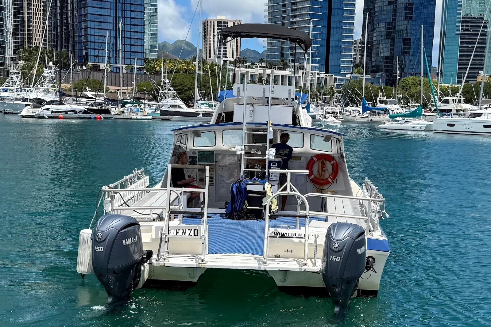 2001 Force Power Cat boat in marina, skyscrapers in background, clear blue water.