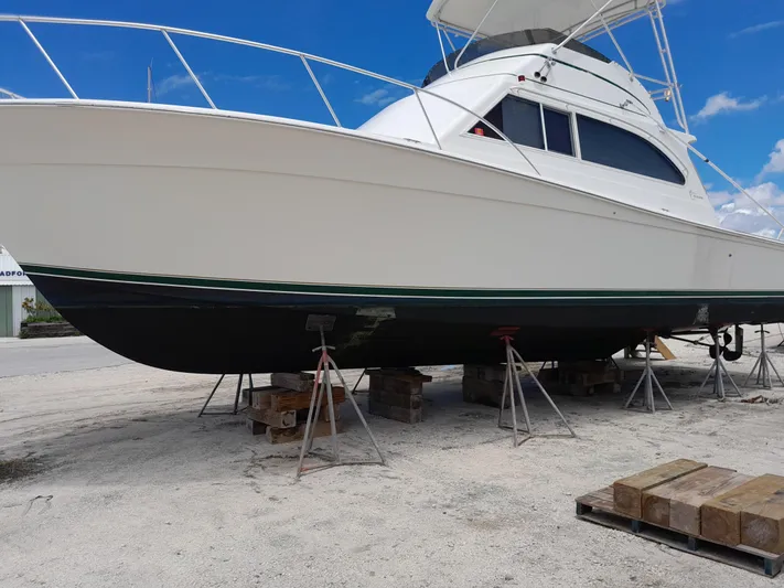 Bad To The Bone Yacht Photos Pics 