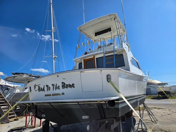 Bad To The Bone Yacht Photos Pics 1995 Egg Harbor Golden Egg 42 yacht on land, "Bad To The Bone" name visible.
