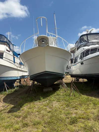 Bad To The Bone Yacht Photos Pics 