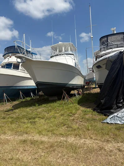 Bad To The Bone Yacht Photos Pics 