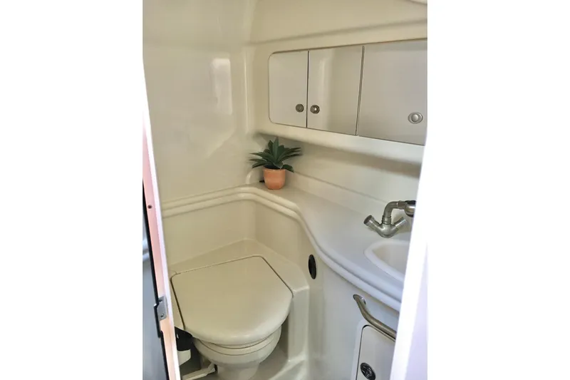  Yacht Photos Pics 2007 Sea Ray 340 Sundancer bathroom with toilet, sink, and small plant.