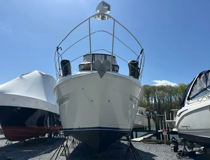 Couples Therapy Yacht Photos Pics 