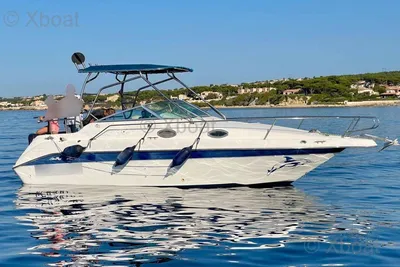 1995 Sea Ray SEA RAY 250 SUNDANCER