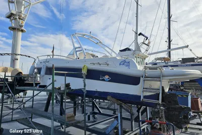 2009 Custom Rio sol 750