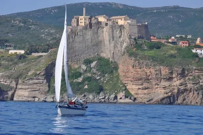 1987 Hallberg-Rassy 29