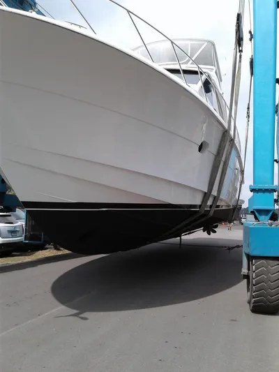 Little Waves Yacht Photos Pics 