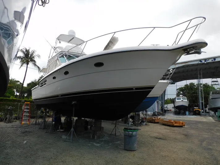 Mad Hatter Yacht Photos Pics 