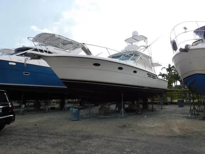 Mad Hatter Yacht Photos Pics 