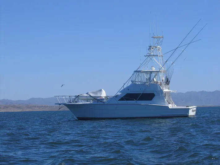 Squared Away Yacht Photos Pics 