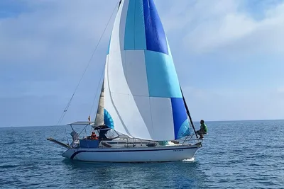 1989 Furia 302