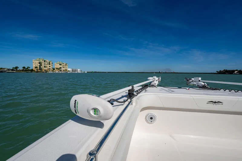 Hoosier Hooker Yacht Photos Pics 2021 Invincible 40 Catamaran on calm waters with cityscape in background.