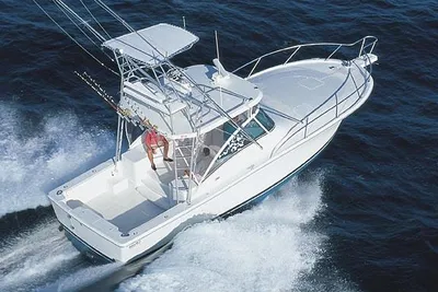 Luhrs 36 Open