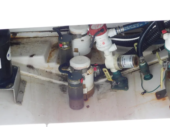 Out To Lunch Yacht Photos Pics 