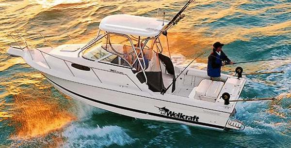 2000 Wellcraft Walkaround 22 I/O
