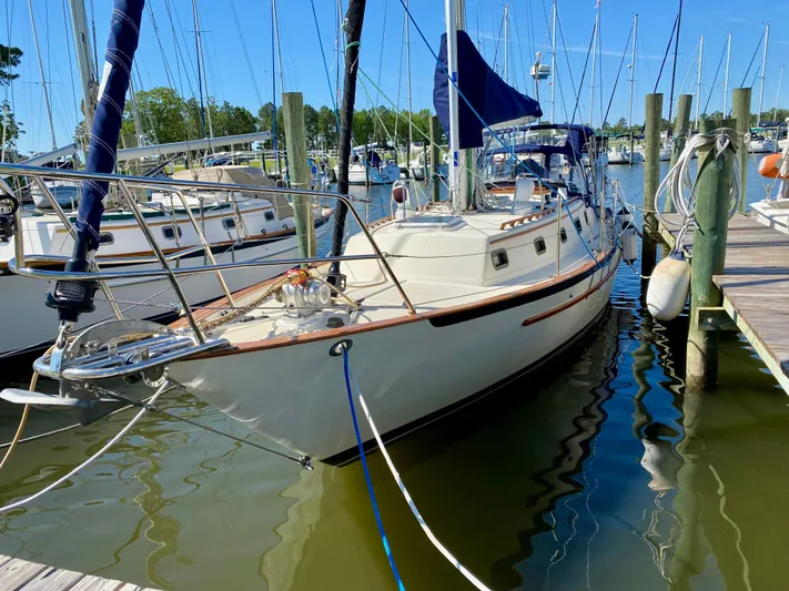 Encore Yacht Photos Pics 