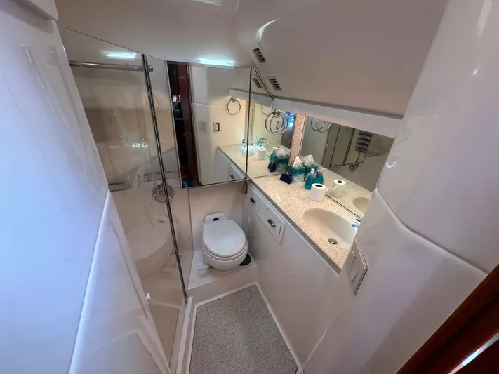  Yacht Photos Pics 2001 Tiara Yachts 4300 Open bathroom with shower, toilet, and mirrored vanity.