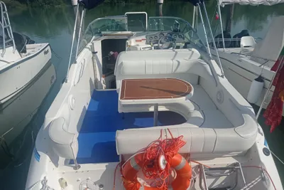 1995 Sea Ray 230 Sundancer