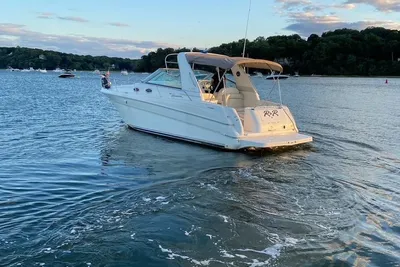 Sea Ray 290 Sundancer