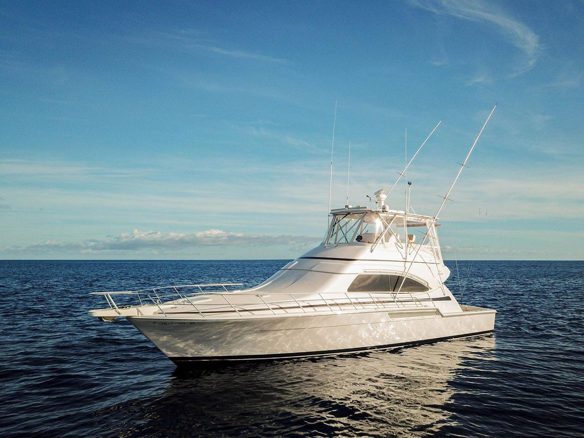 2006 Bertram 51 