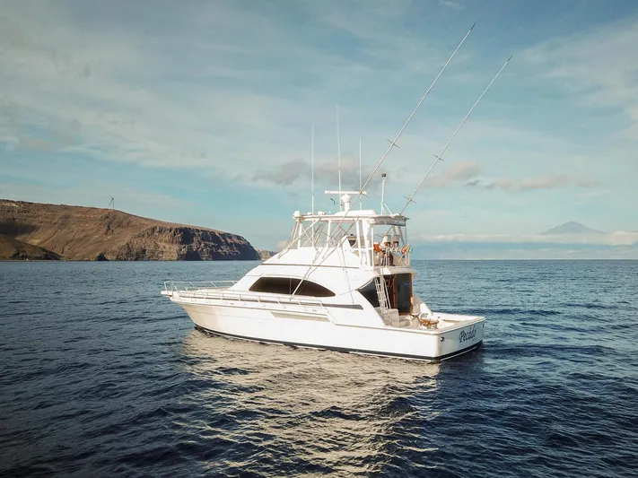 Pecado Yacht Photos Pics 2006 Bertram 510 Convertible yacht on open sea with scenic coastal backdrop.