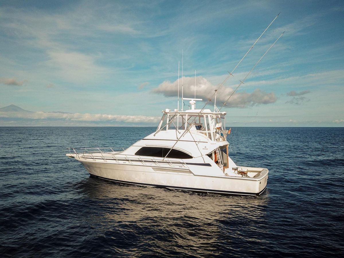 2006 Bertram 51 