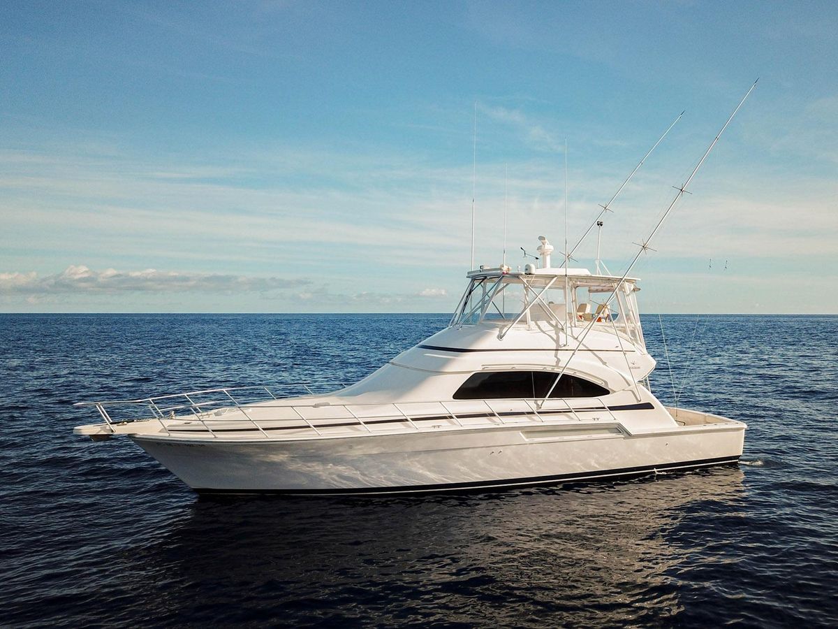 2006 Bertram 51 