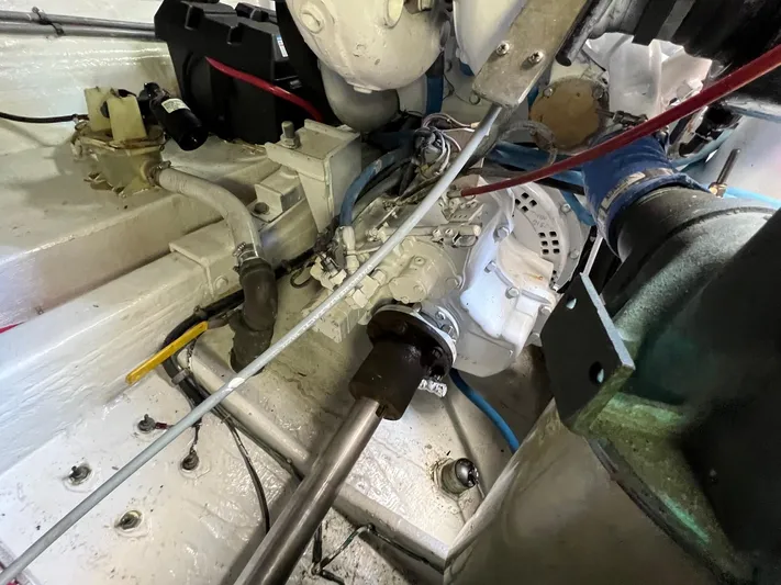 Chaos Yacht Photos Pics 