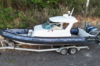 Rayglass Protector 8.5