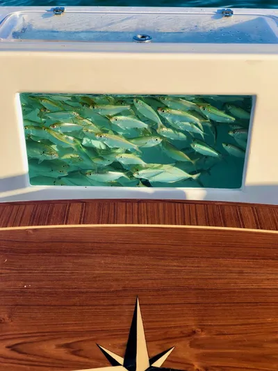 Heart Of Gold Yacht Photos Pics 