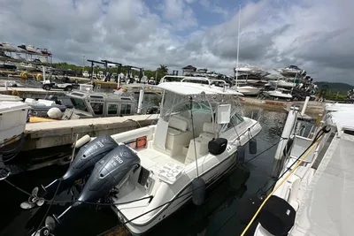 Hydra-Sports 2900 VX
