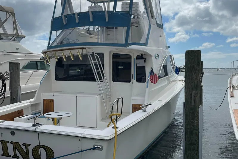 Pino Yacht Photos Pics 